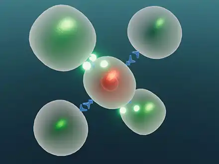Cellular Warfare
