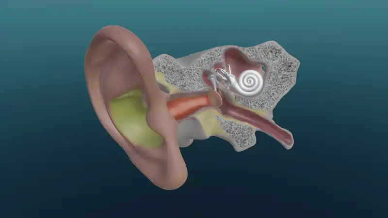 Hearing