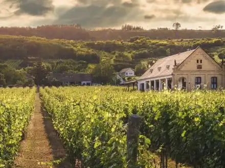 Life on the Farm