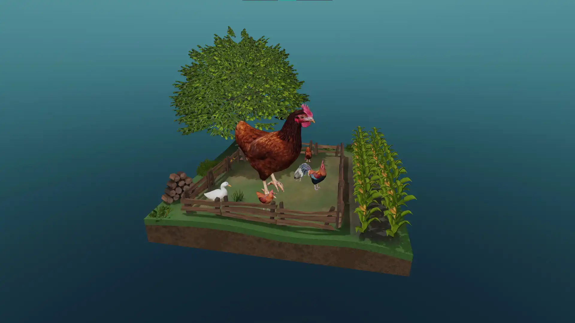 The domestic chicken