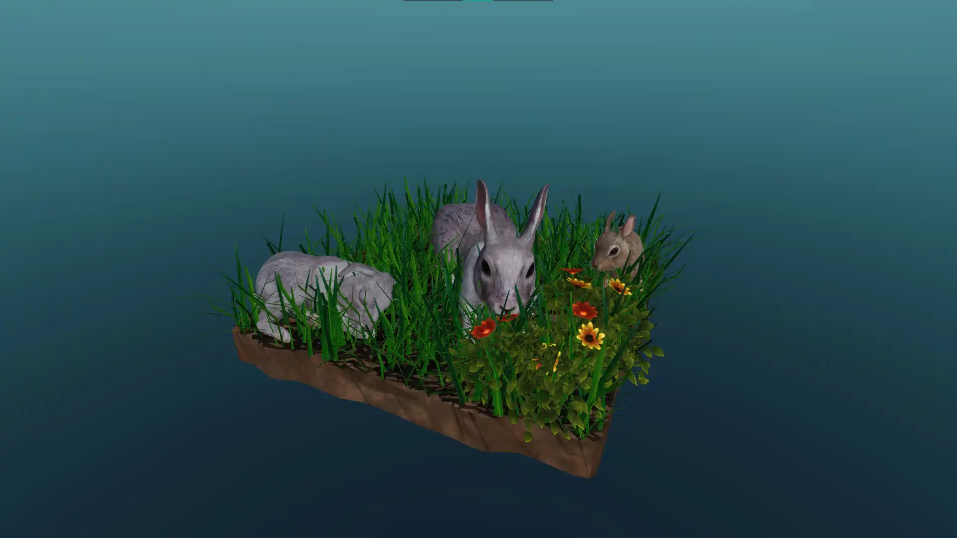 The domestic rabbit