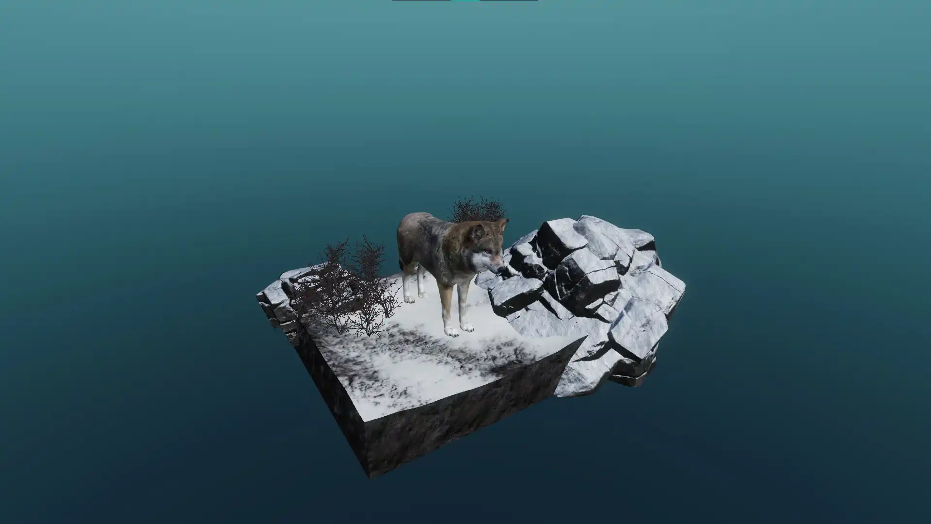 The European grey wolf
