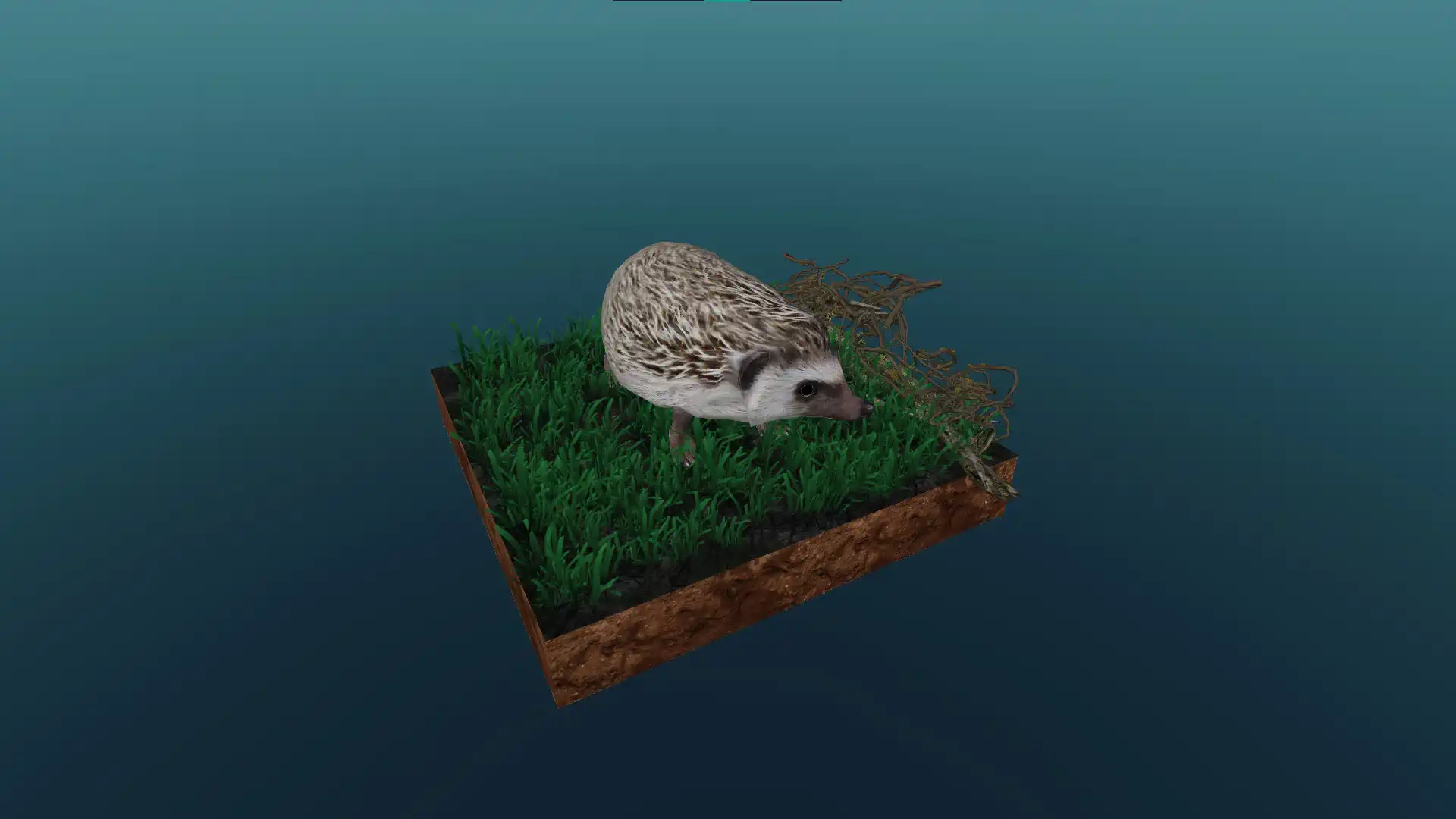 The hedgehog